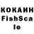 Галлюциногенные грибы прущие грибы Kayak 907