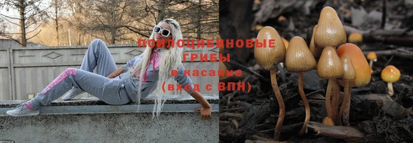 сатива Волосово