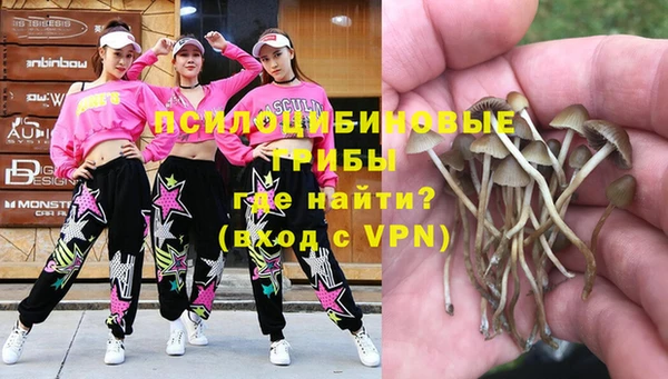 сатива Волосово