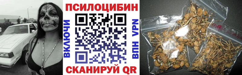 купить наркоту  Ликино-Дулёво  МЕГА онион  Псилоцибиновые грибы Psilocybine cubensis 